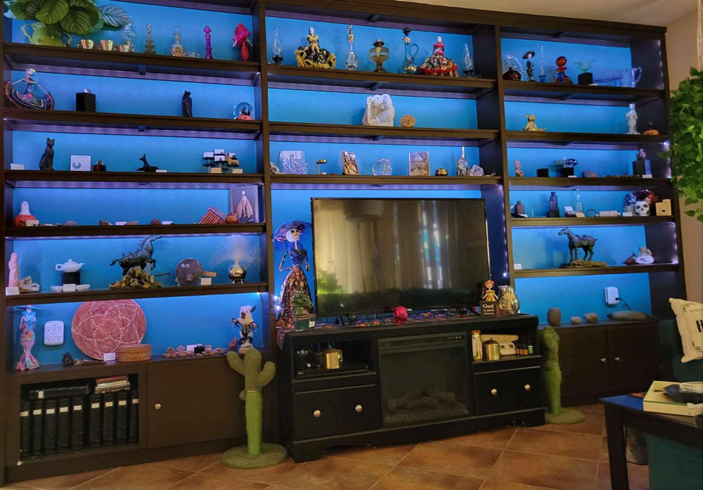 Custom Entertainment 2
